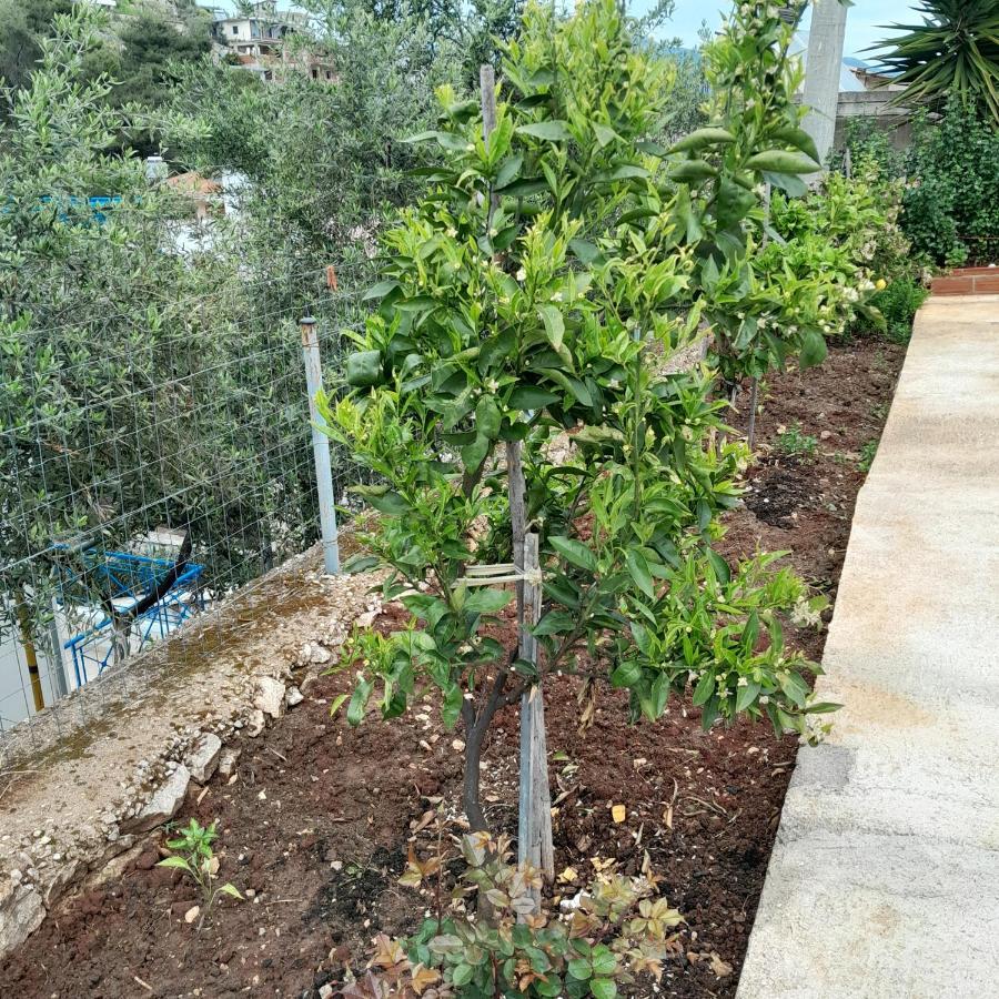 Luxury Dennis Home Sarande Exterior photo