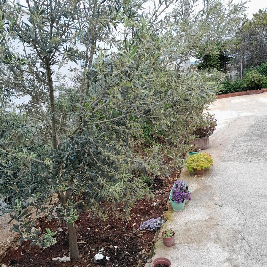 Luxury Dennis Home Sarande Exterior photo