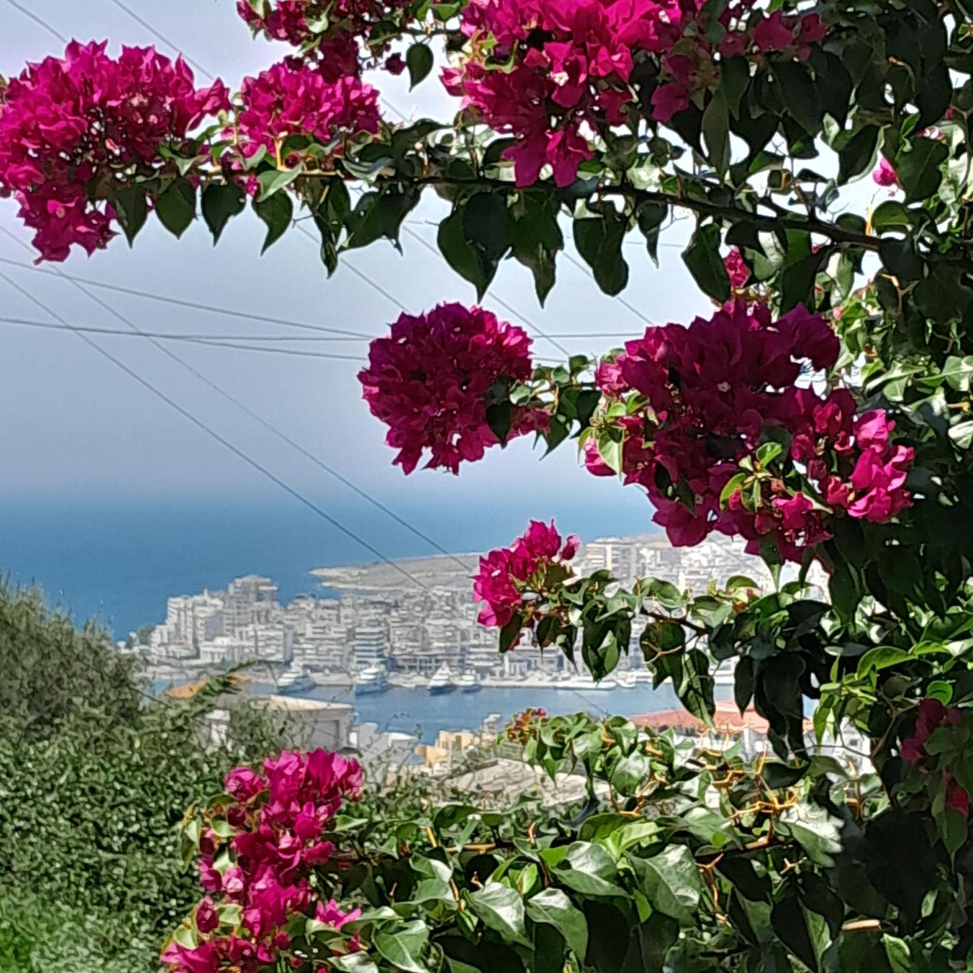 Luxury Dennis Home Sarande Exterior photo