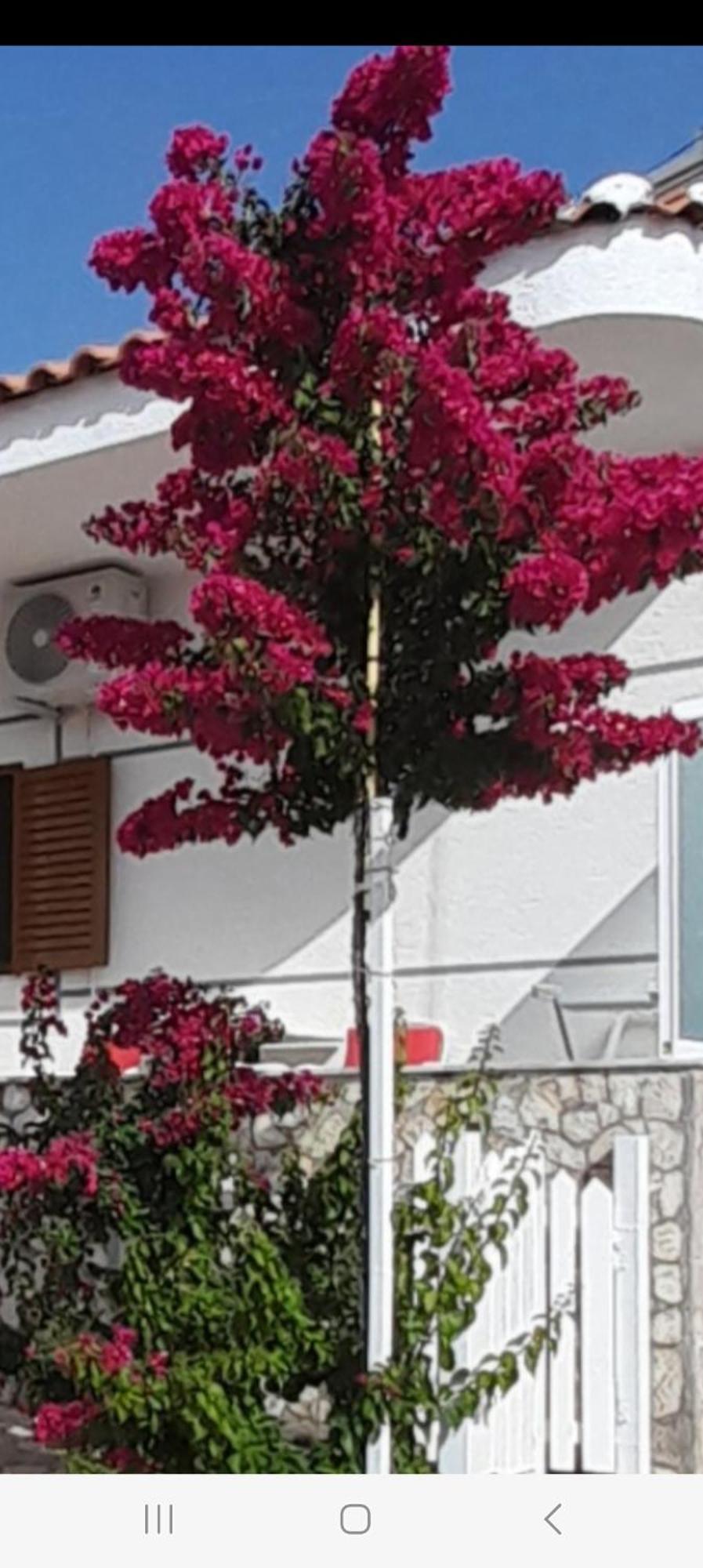 Luxury Dennis Home Sarande Exterior photo